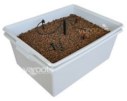 Hydroponics GrowIT 75