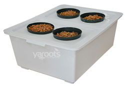 Basic DWC - 4