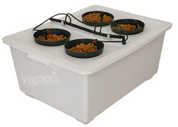 Advanced DWC 4
