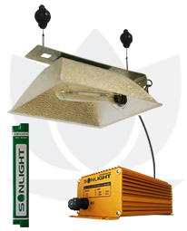 Electronic Kit 250W MH + Sonlight MH-HSX 250W