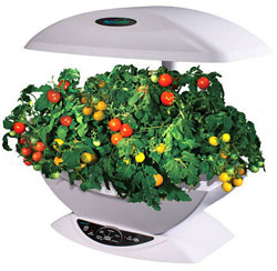 Classic Aerogarden + Starter Herb Kit included
