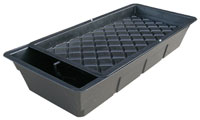 Nutriculture NFT GT424