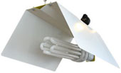 Compact Fluorescent Kit