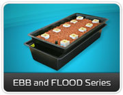 Ebb and flood