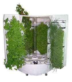 Ecosystem | Hydroponic Vertical System