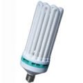Compact FLUO 300W Red - 2700°K