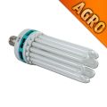 Compact FLUO 250W Agro