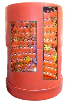 Grow System