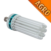 Compact FLUO 250W Agro