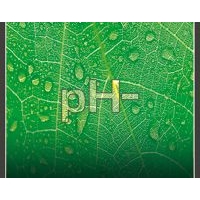 Generic pH- 1L
