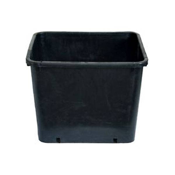 square head pot