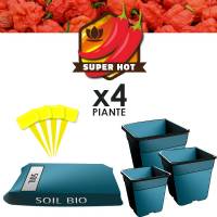 Chilli Grow Soil kit PH Controlled (4 Plants)