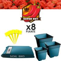 Chilli Grow Soil kit PH Controlled (8 Plants)