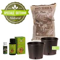 Autoflower Outdoor Grow Kit - 2 Pots
