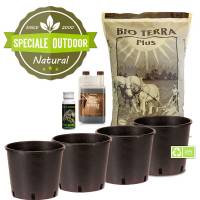 Autoflower Outdoor Grow Kit - 4 Pots