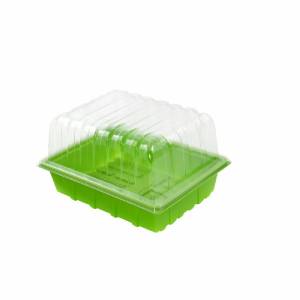 Plastic Mini-greenhouse 23x17x14cm