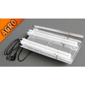 AGRO Mammoth Slim Neon Kit - 2x 55W