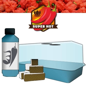 Chilli Growing Kit (Micro air-propagator, Easy Plug Tray 12 cubes, Chilli Focus)