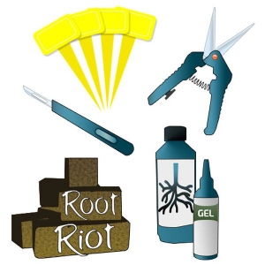 Cutting/Striking and Cloning Kit - 24 plants