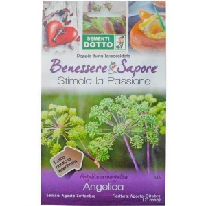 Angelica Seeds (Angelica archangelica) by Sementi Dotto