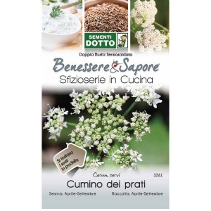 Caraway Seeds (Corum Carvi) by Sementi Seeds