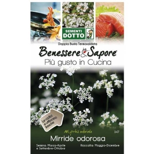 Sweet Cicely Seeds (Myrrhis Odorata) by Sementi Dotto