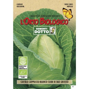 GIANT CABBAGE -  Bio Garden Seeds by Sementi Dotto