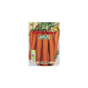 BERLICUN 2 CARROTS - Bio Garden Seeds by Sementi Dotto