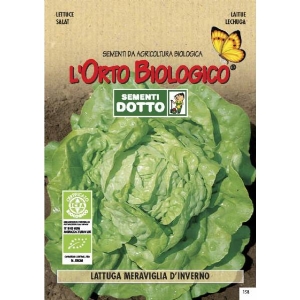 GIANT WINTER SPINACH 5gr - Bio Garden Seeds by Sementi Dotto