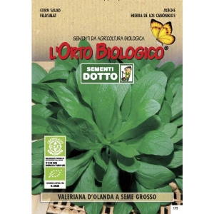 HOLLAND VALERIANE BIG SEED - Bio Garden Seeds by Sementi Dotto