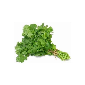 CORIANDER 16gr - Bio Aromatic Seeds by Sementi Dotto