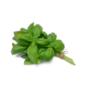 ITALIAN CLASSIC BASIL  3,4gr - Bio Garden Seeds by Sementi Dotto