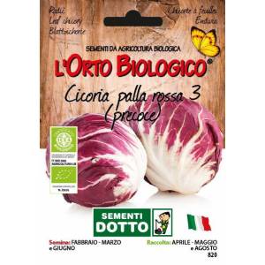LEAF CHICORY  Early Ball Type 3 - 3,8gr  - Bio Garden Seeds by Sementi Dotto