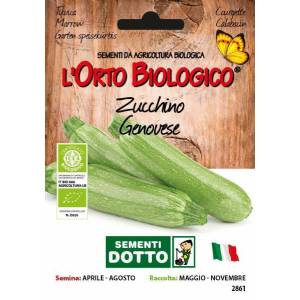GENOA ZUCCHINI -  Bio Garden Seeds by Sementi Dotto