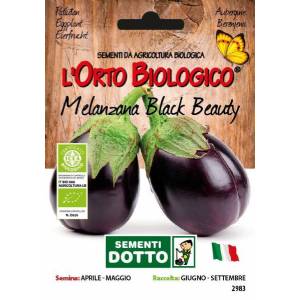 BLACK BEAUTY EGGPLANT 1,4gr - Bio Garden Seeds by Sementi Dotto