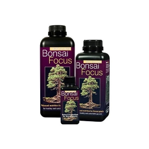 Bonsai Focus - Growth Technology