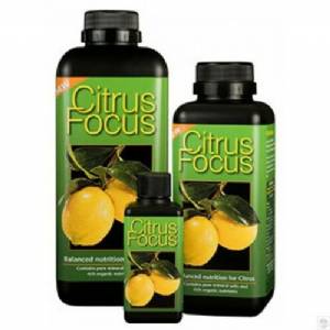 Citrus Focus - Growth Technology