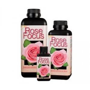 Rose Focus - Growth Technology
