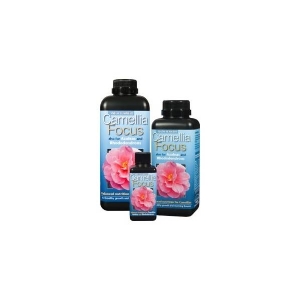 Camellia Focus - Growth Technology