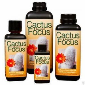 Cactus Focus - Growth Technology