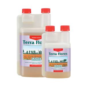 Canna Terra Flores