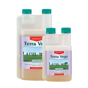 Canna Terra Vega