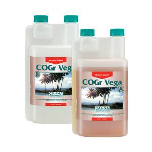 Canna COGR Vega A+B