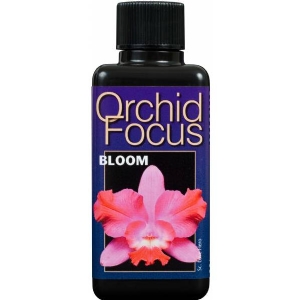 Orchid Focus Bloom - Growth Technology