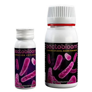 Agrobacterias - Bactobloom