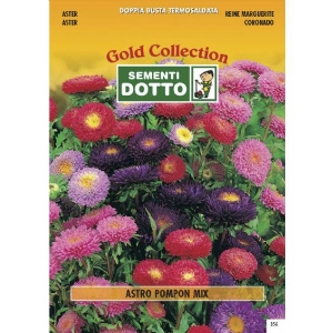 Aster Pompon Mix - Gold Seeds by Sementi Dotto