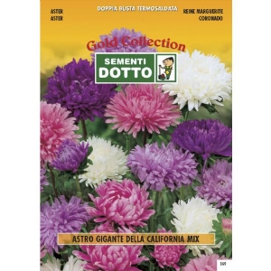Aster Giant California - Gold Seeds by Sementi Dotto - 1,3gr