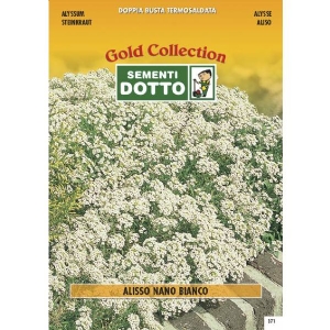 White Dwarf Alyssum (Alyssum maritimum)  - Gold Seeds by Sementi Dotto 0.9gr