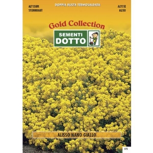 Alisso Yellow - Gold Seeds by Sementi Dotto