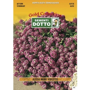 Violet Dwarf Alyssum (Alyssum maritimum) - Gold Seeds by Sementi Dotto 0.6gr